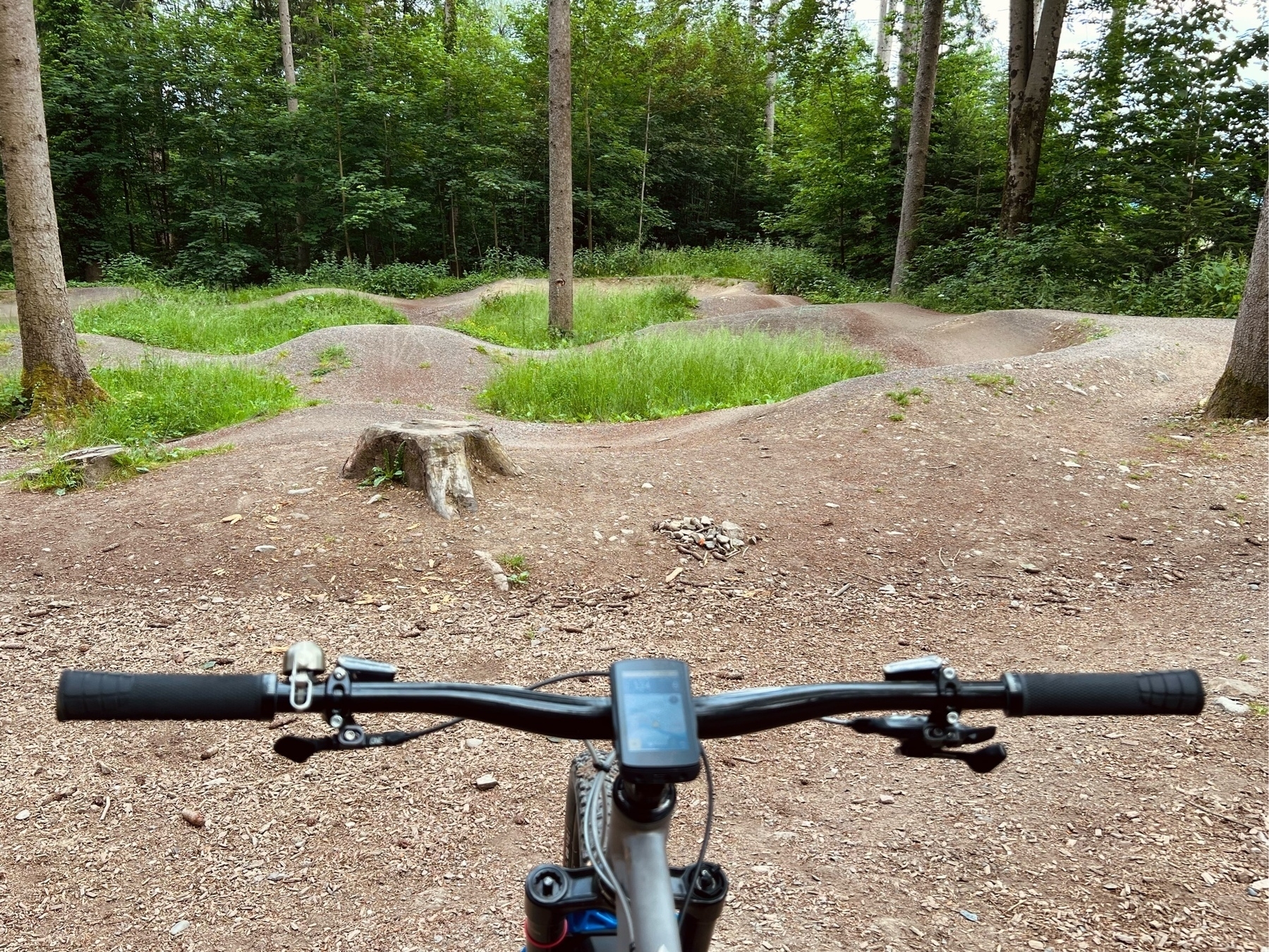 Cockpit of a hardtail mountain bike, slightly out of focus and in front of a bicycle pump track in a forest, surrounded by tall trees.