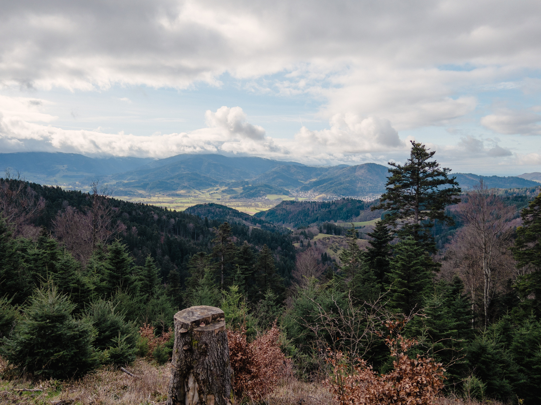 View from a forest path overlooking the a few tree-strewn hillsides and the Dreisamtal in the direction of Freiburg-Ebnet. The air is fairly clear with white and grey clouds starting at around 900 m of elevation.